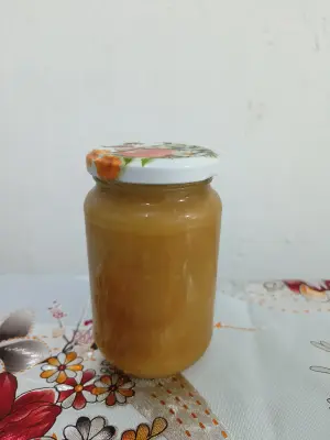 عسل شوك الإبل